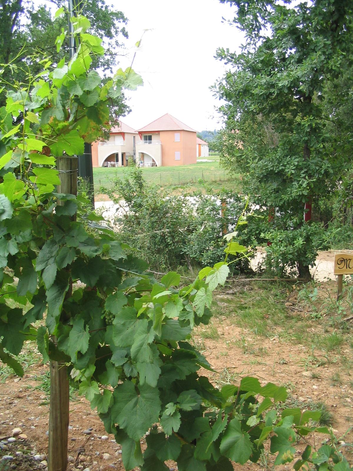 Terres De France - Domaine De Claire Rive Hotel Prayssac Buitenkant foto