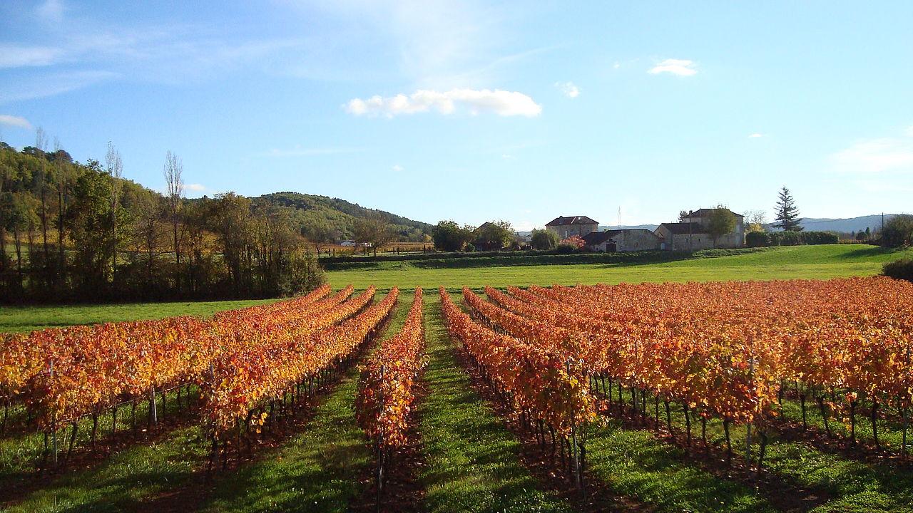Terres De France - Domaine De Claire Rive Hotel Prayssac Buitenkant foto